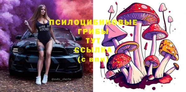 прущая мука Аркадак